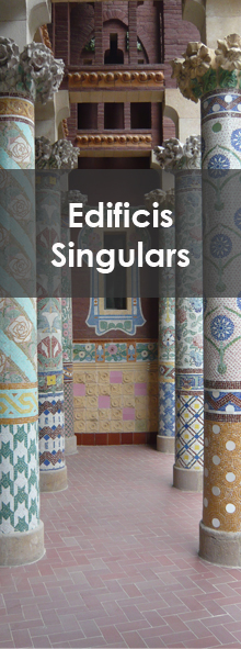 Edificis Singulars